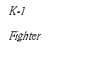 Text Box: K-1
Fighter
